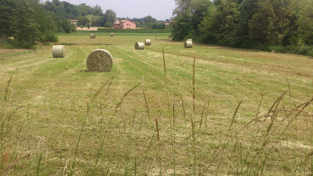 B&B Zia Maria Asolo Zewnętrze zdjęcie